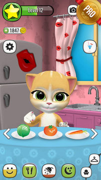 会说话的艾玛猫 PRO - 宠物游戏 Game Screenshot