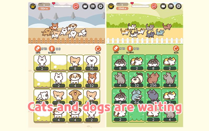 2048WalkingCat Game Screenshot