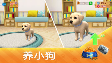 Dog Town:寵物店遊戲、照顧狗並與狗一起玩 遊戲截圖