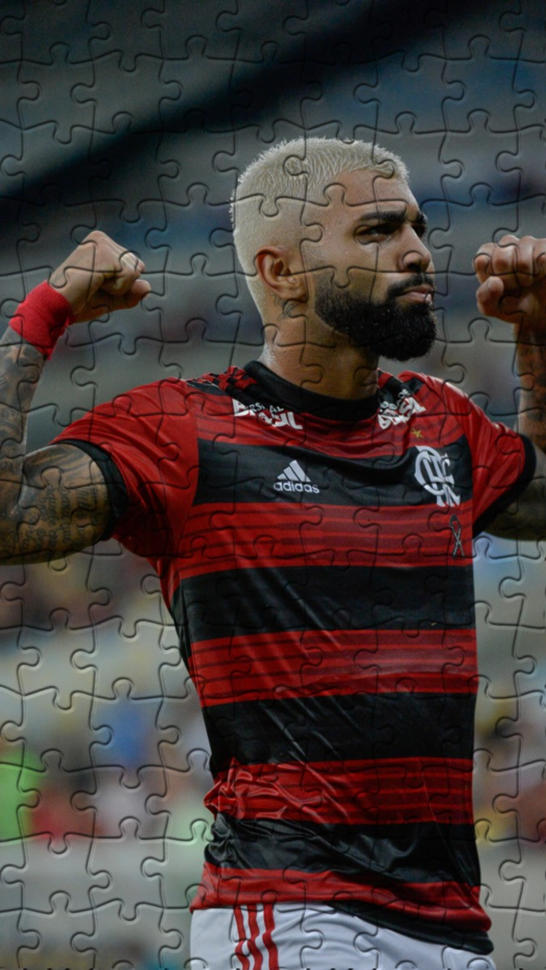 Cuplikan Layar Game GabiGol Jigsaw Puzzles