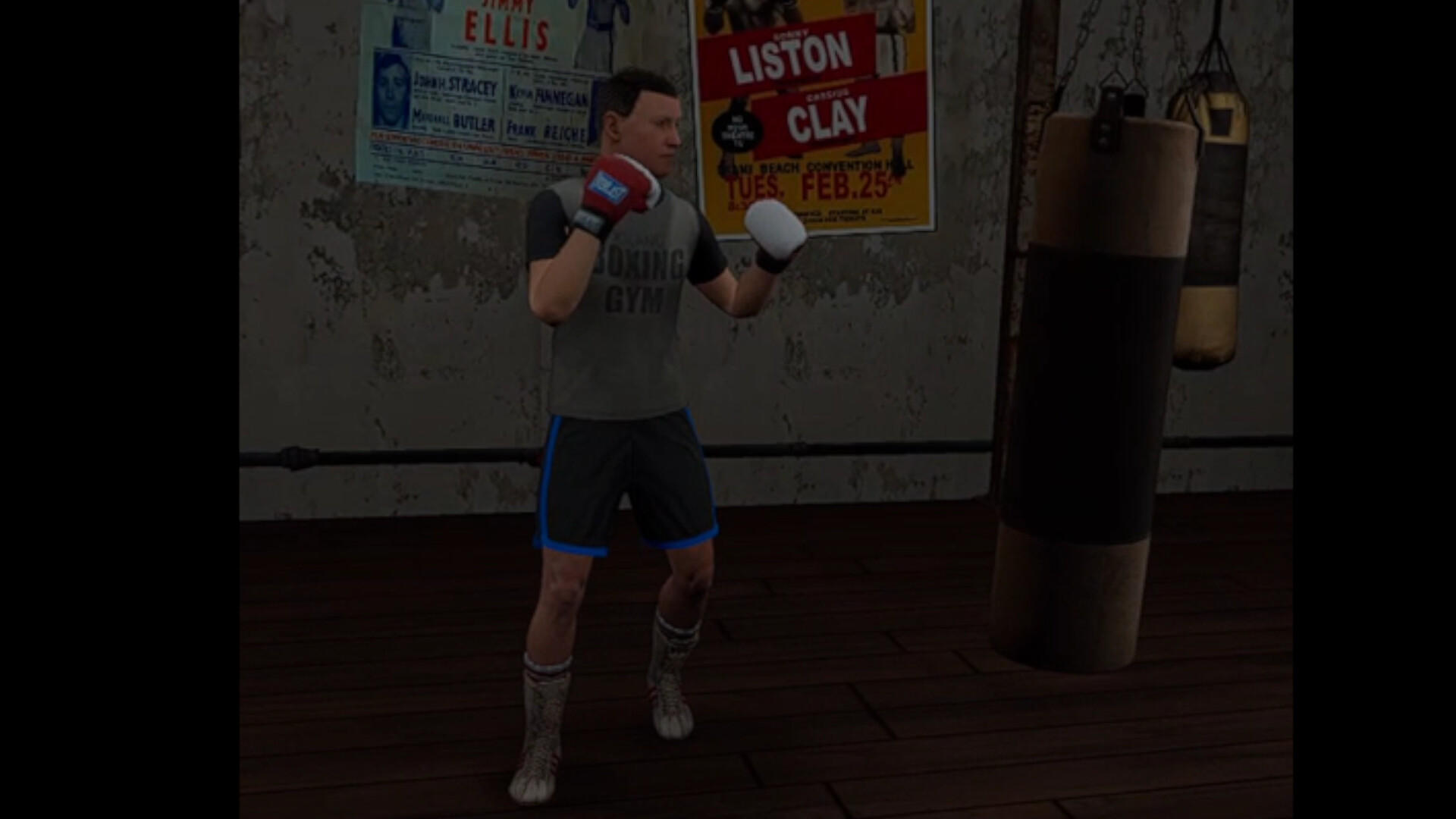 True Boxing VR遊戲截圖