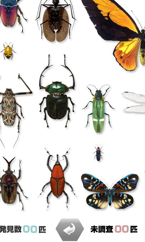 Screenshot of 世界の昆虫採集ライト版