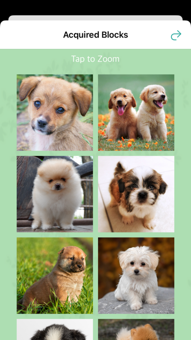 Puppy Falling Blocks Game Screenshot