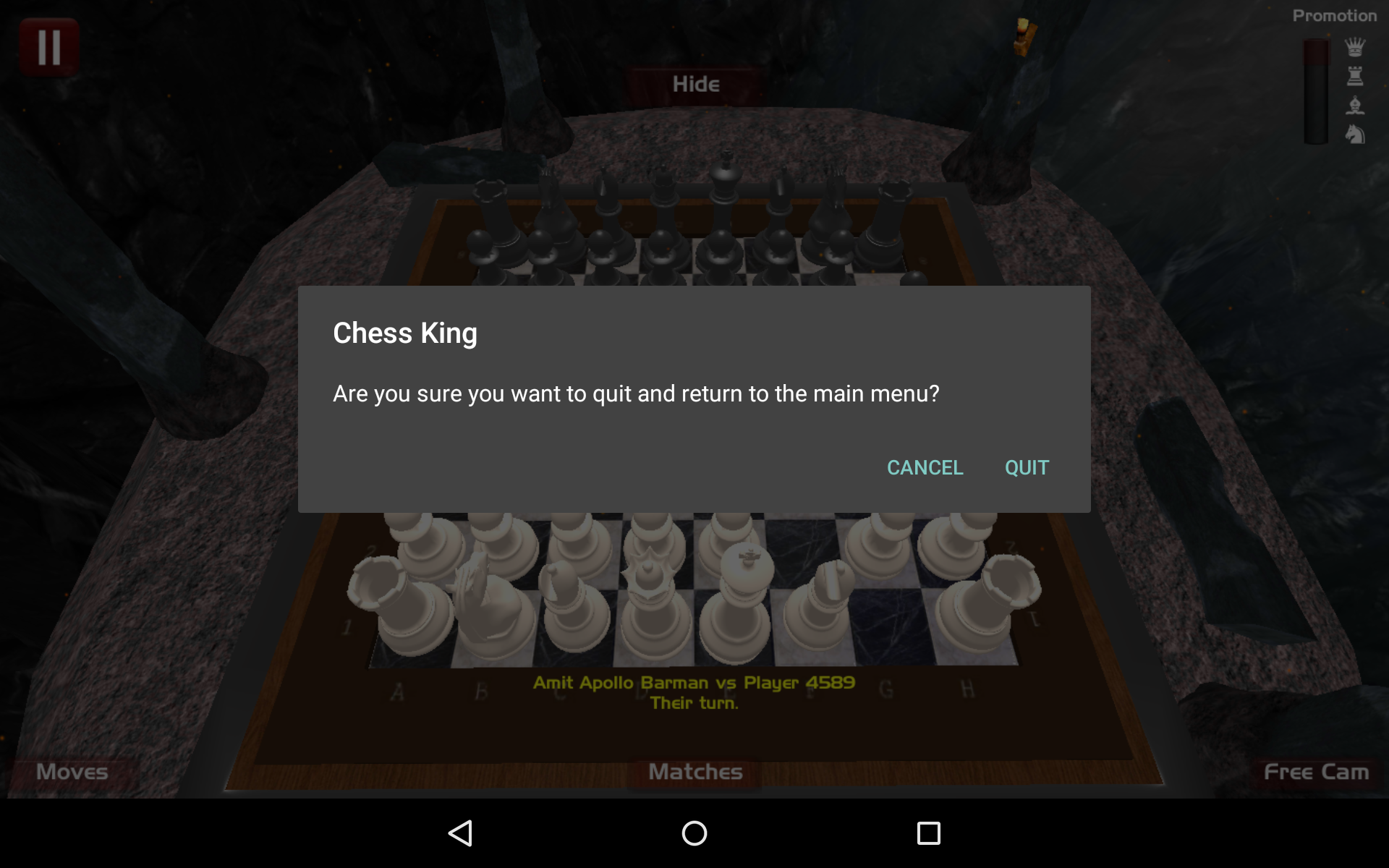 Chess King screenshot game