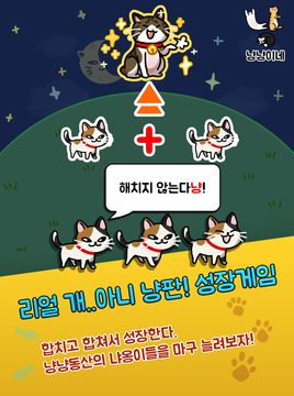 Cuplikan Layar Game 냥냥이네 - 고양이 키우기