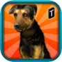 Street Dog Simulator 3D