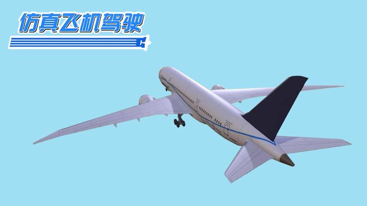 Banner of Simulated Airplane Driving 