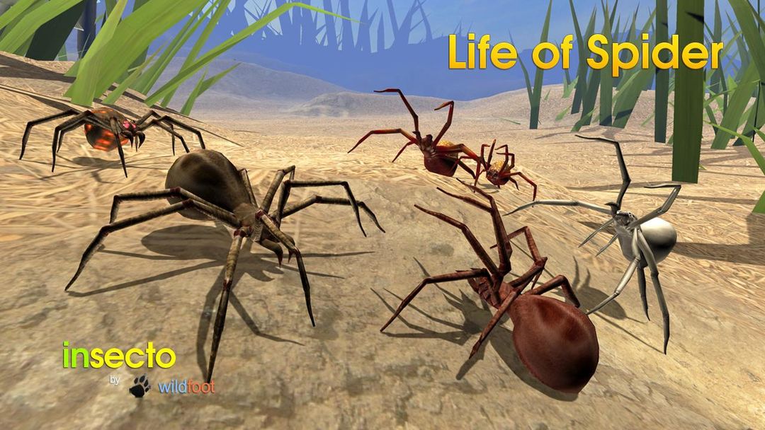 Life of Spider遊戲截圖