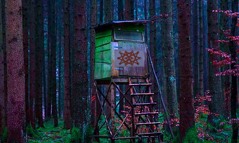 Escape From Alarming Forest 게임 스크린샷