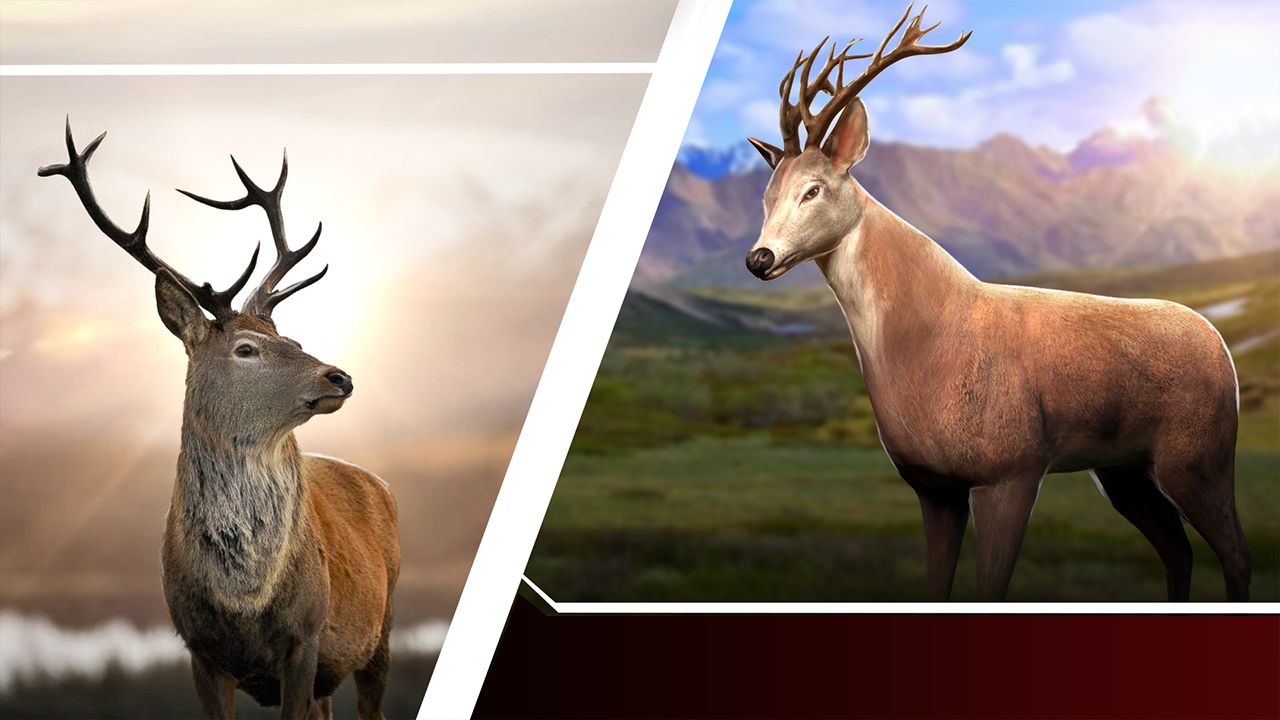 Screenshot of Deer Hunt Gun Games Offline