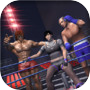 Fighting Wrestling Games 2025