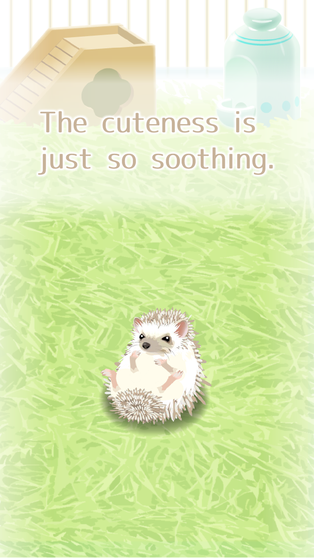Captura de Tela do Jogo Hedgehog Pet