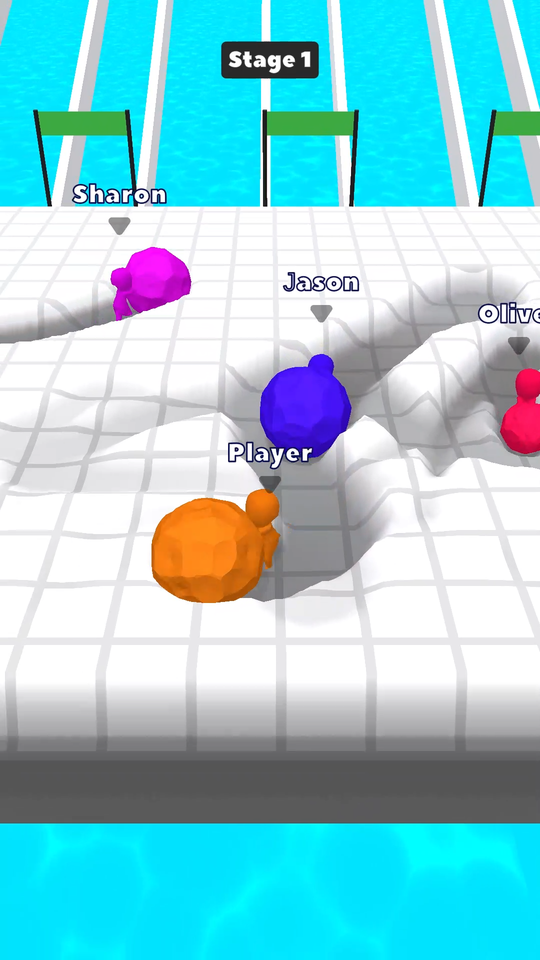 Bowl Race Game Screenshot