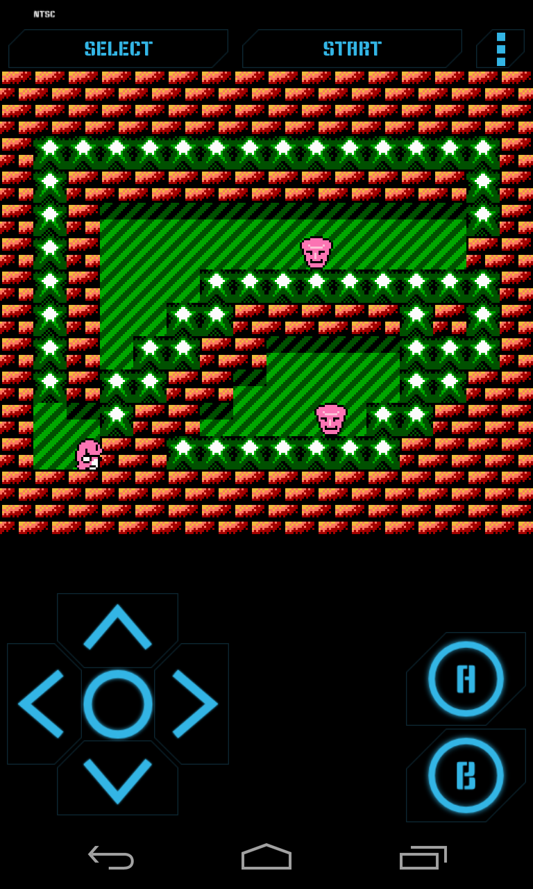 NostalgiaNes Pro Game Screenshot