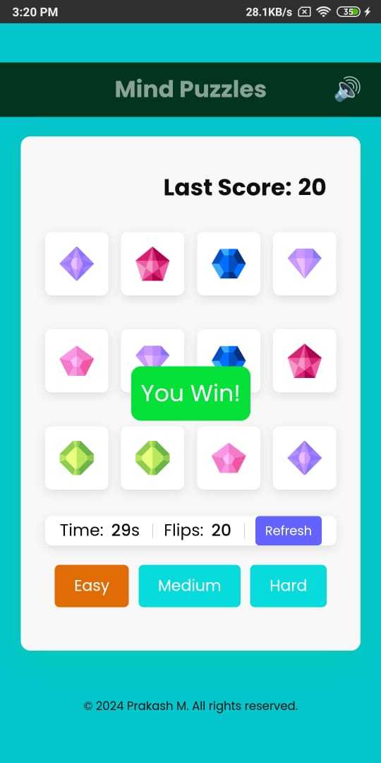 Mind Puzzles 게임 스크린샷