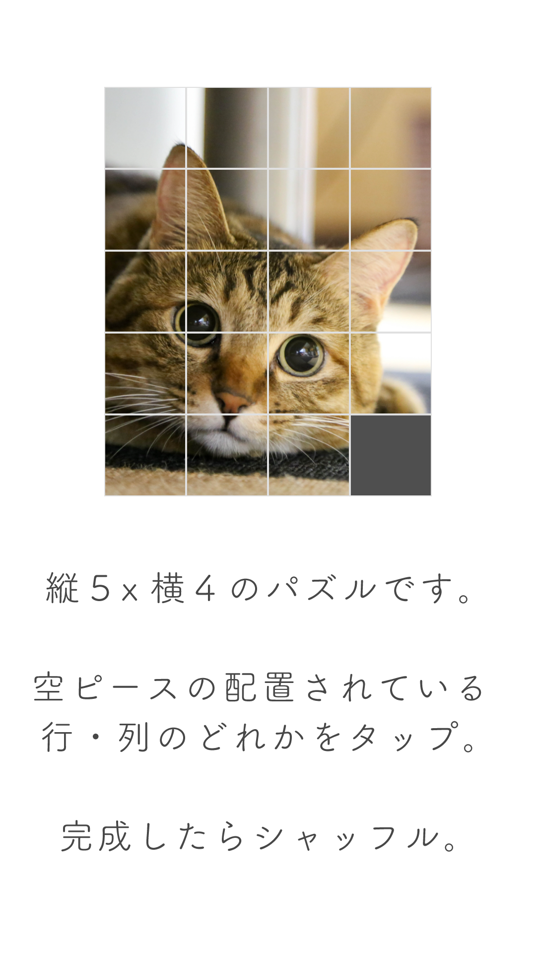 イメージパズル Game Screenshot