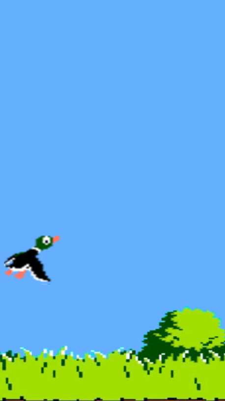 Go Go Duck Game Screenshot