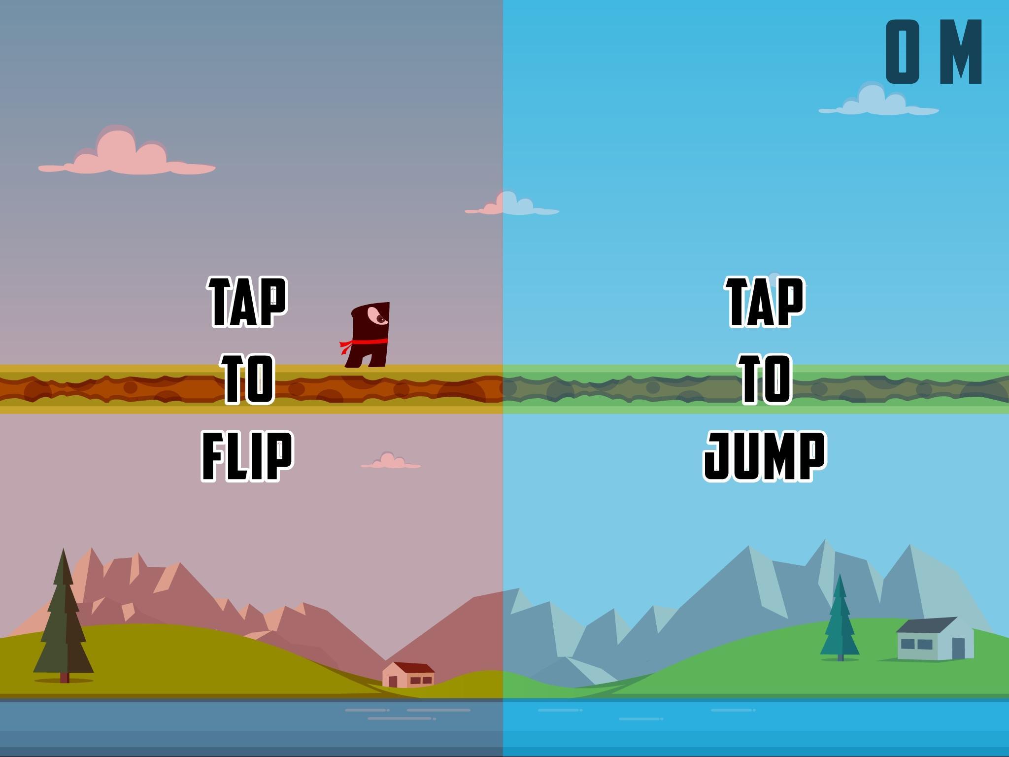 Flipster Game Screenshot