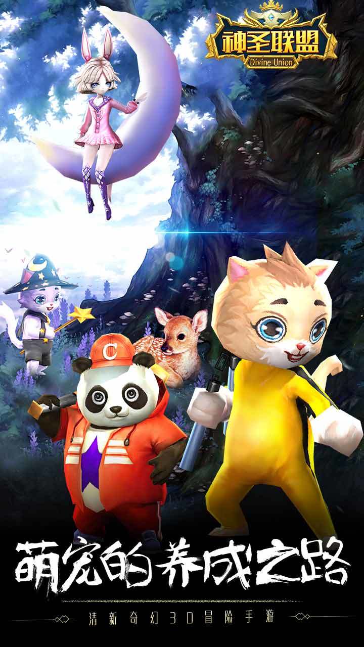 神圣联盟 Game Screenshot