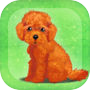Icon of My Dog Life -Toy Poodle Edition-