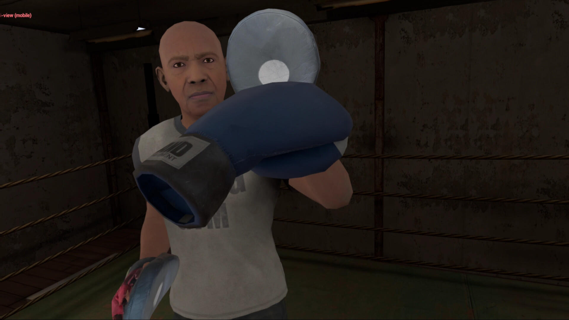 True Boxing VR ภาพหน้าจอเกม