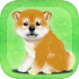 Icon of My Dog Life -Japanese Shiba Inu Edition-
