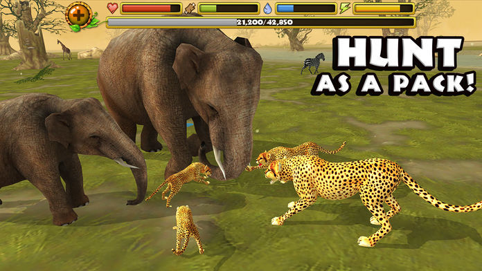 Cheetah Simulator ภาพหน้าจอเกม