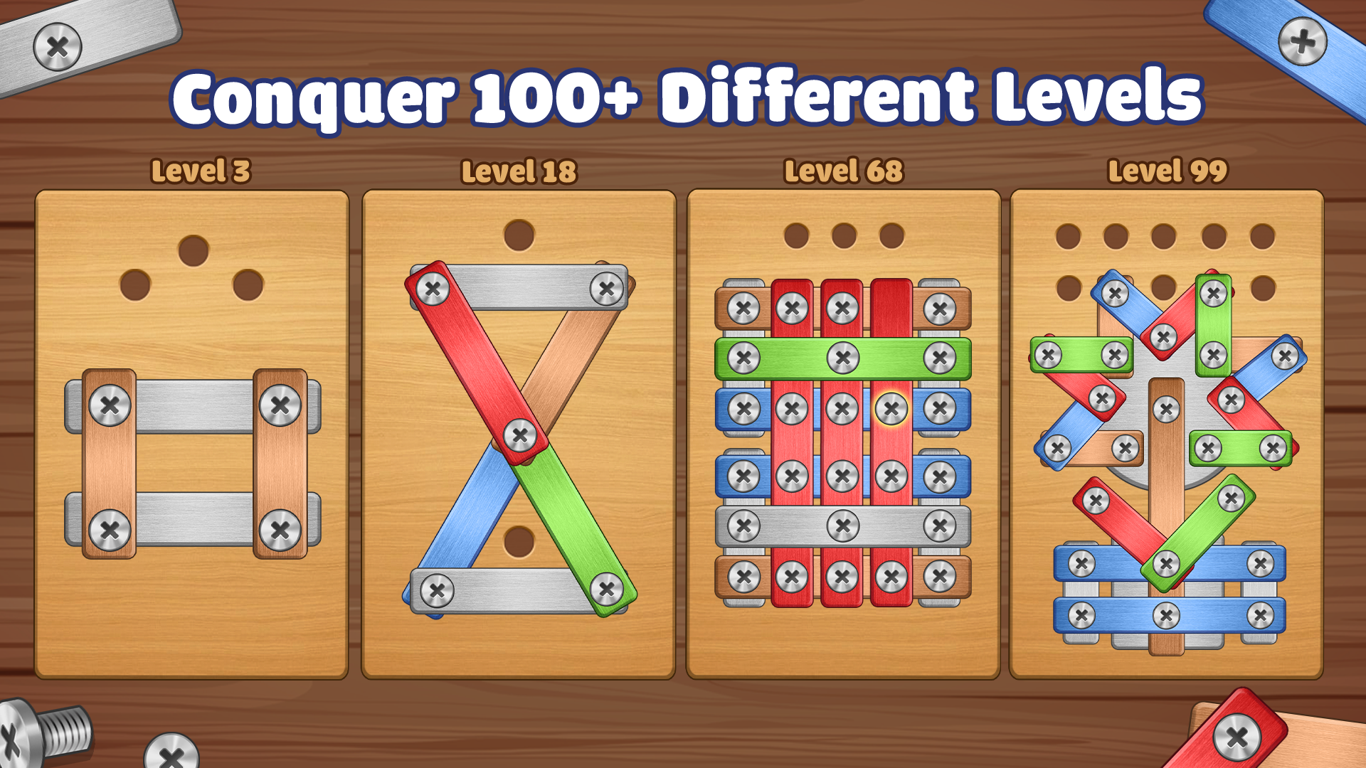 Screw Challenge: Nuts & Bolts Game Screenshot