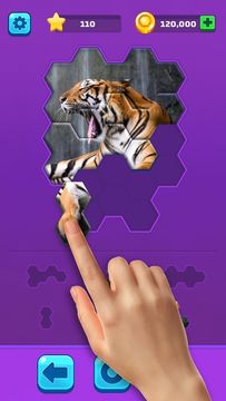 Hexa Jigsaw Puzzle ® Game Screenshot