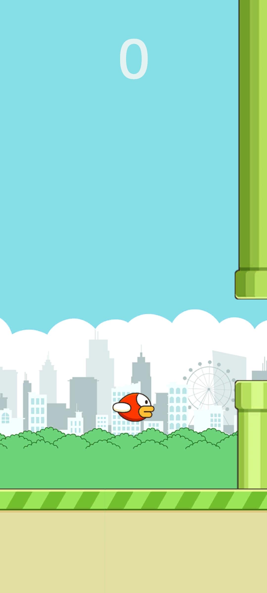 Bird Jumps Game Screenshot