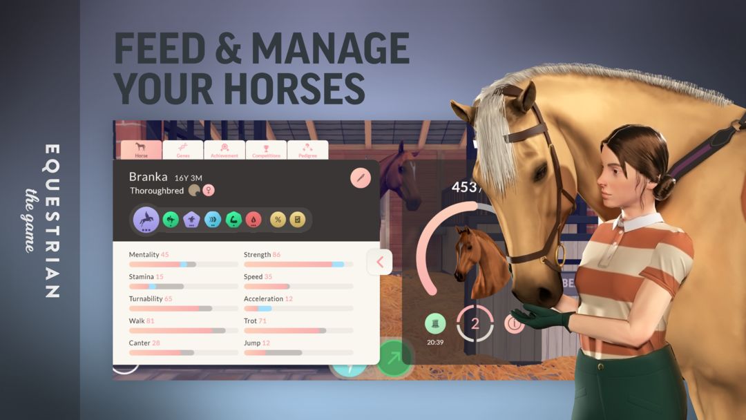 Equestrian the Game screenshot game