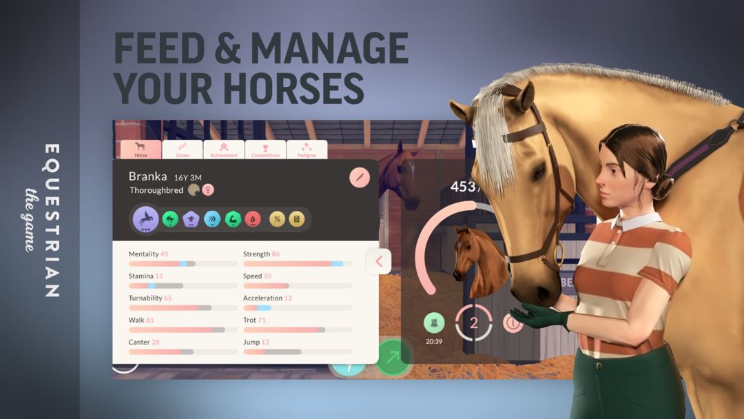 Equestrian the Game ภาพหน้าจอเกม