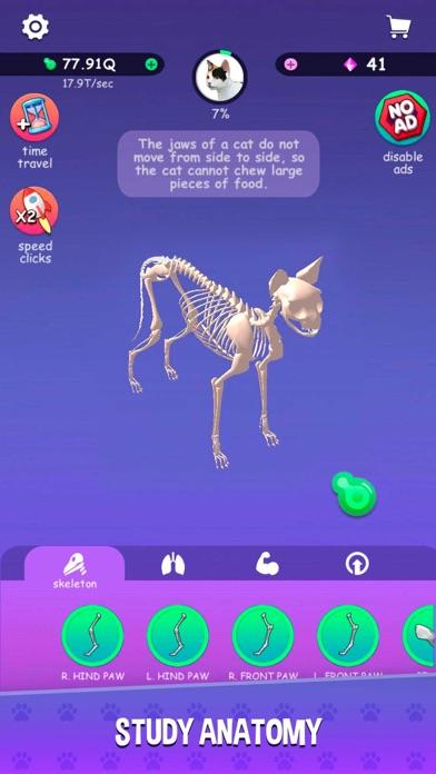 Human Anatomy APK Download for Android Free