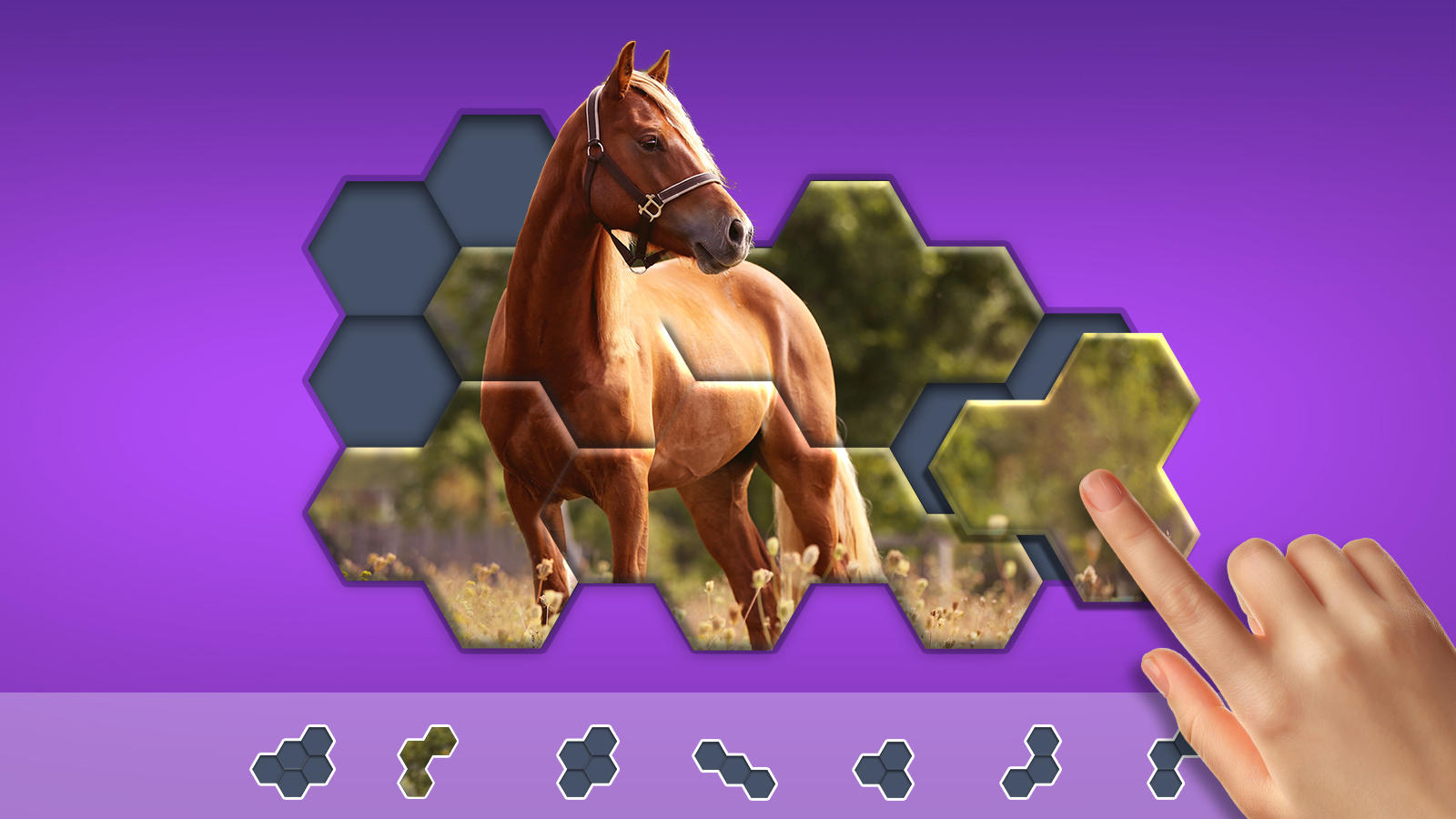 Hexa Jigsaw Puzzle ® Game Screenshot