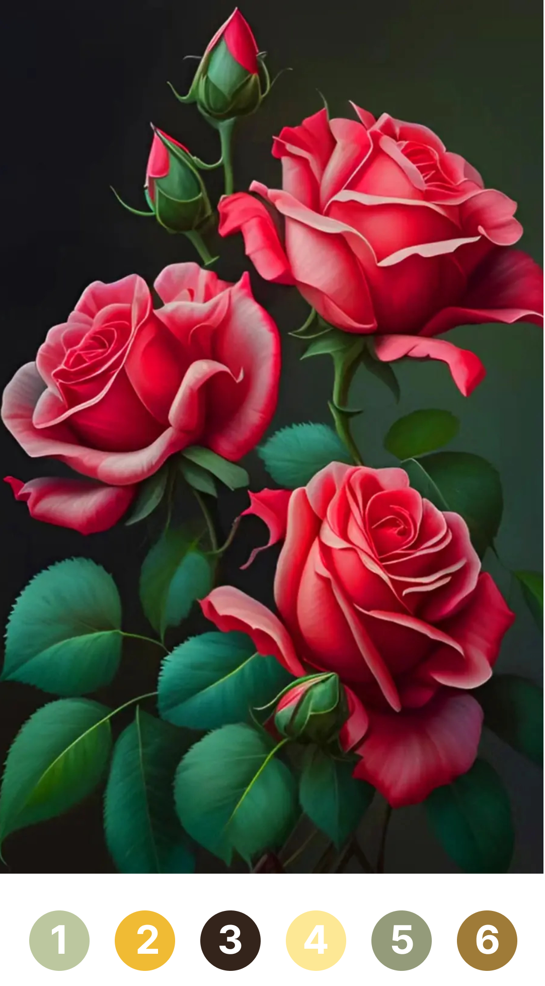 Rose Paint Coloring By Number遊戲截圖