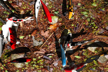 Captura de Tela do Jogo Koi Garden