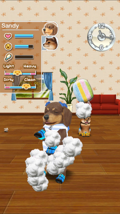 My Dog My Room Premium screenshot game