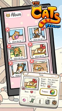 The Cats Paradise: Collector ゲームのスクリーンショット