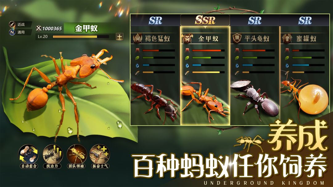 小小蚁国 screenshot game