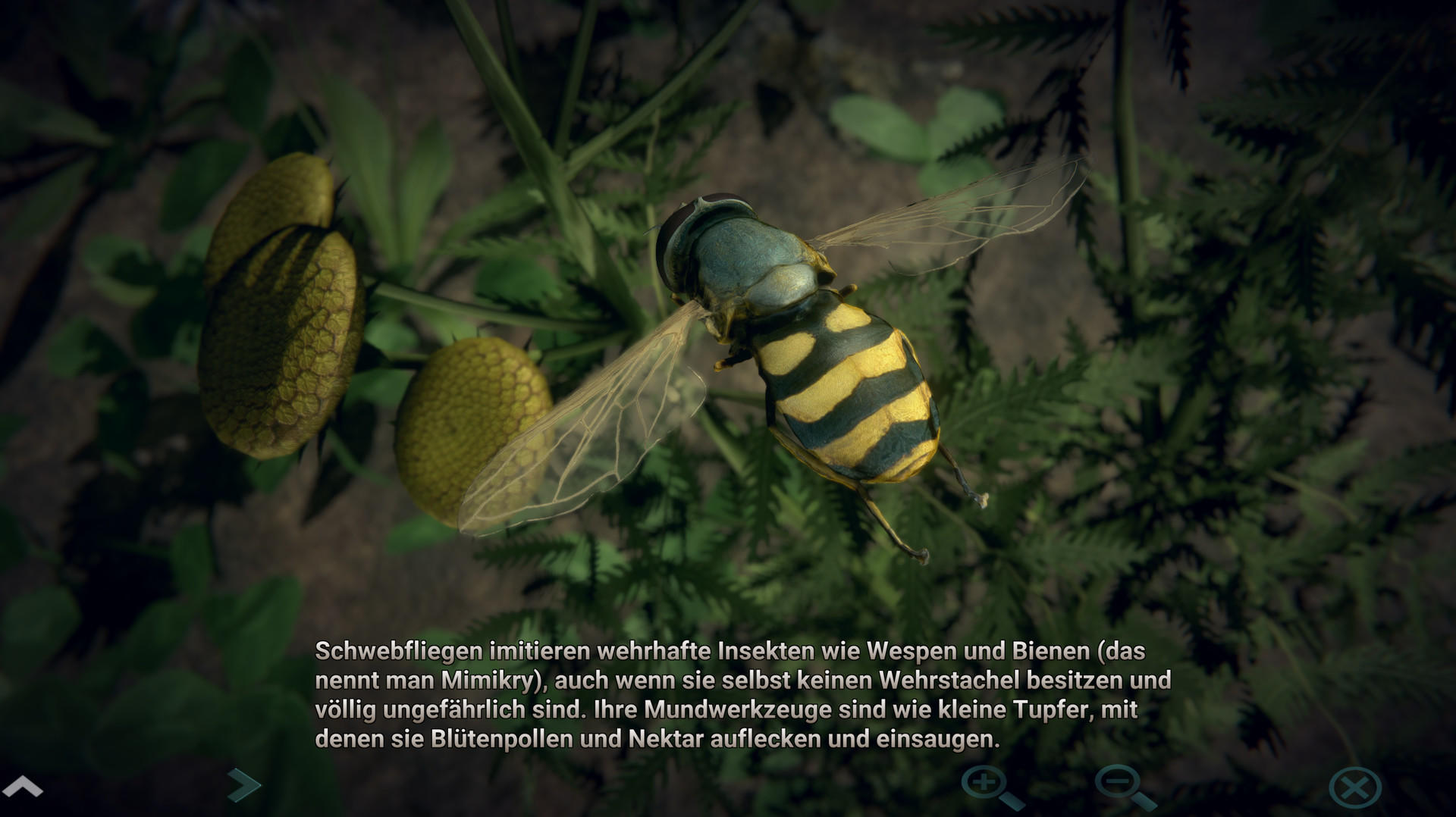 Insect Worlds 게임 스크린 샷