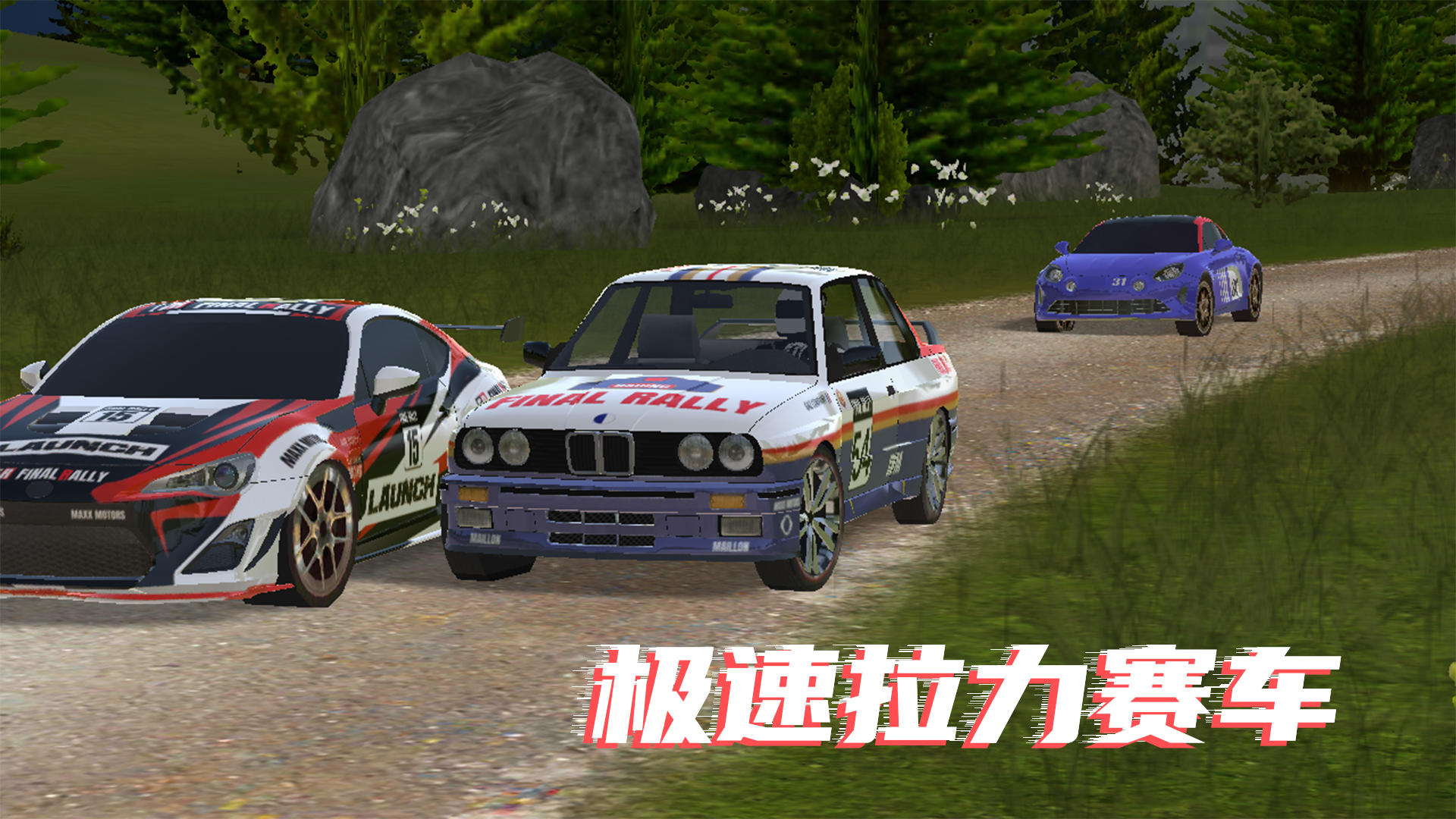 Banner of extremes Rallyeauto 
