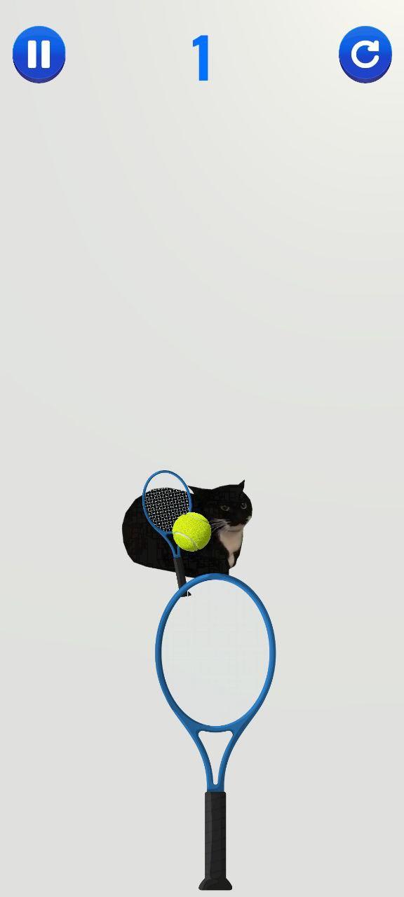 Screenshot of Cat Tennis