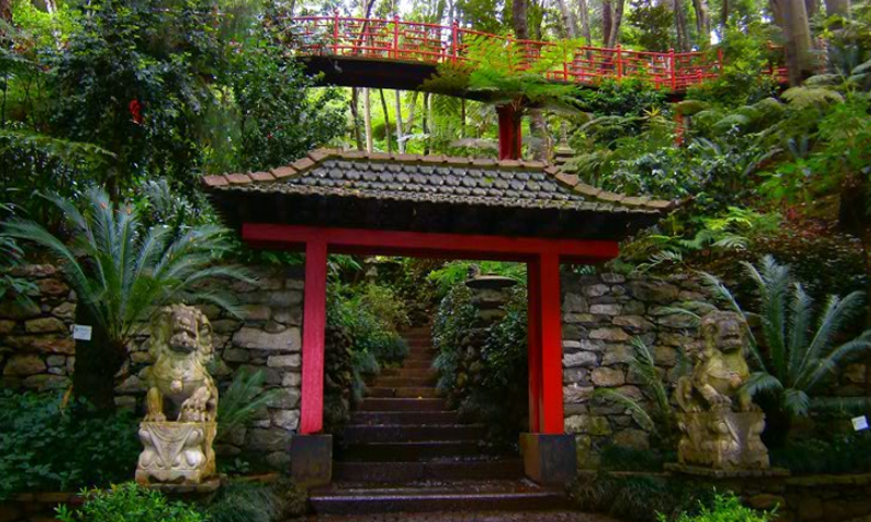 Monte Tropical Garden Escape Game Screenshot