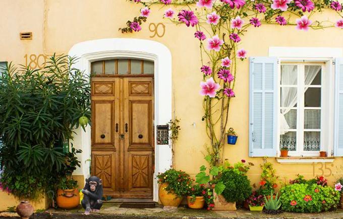 Скриншот игры Escape Games - Magician Monkey