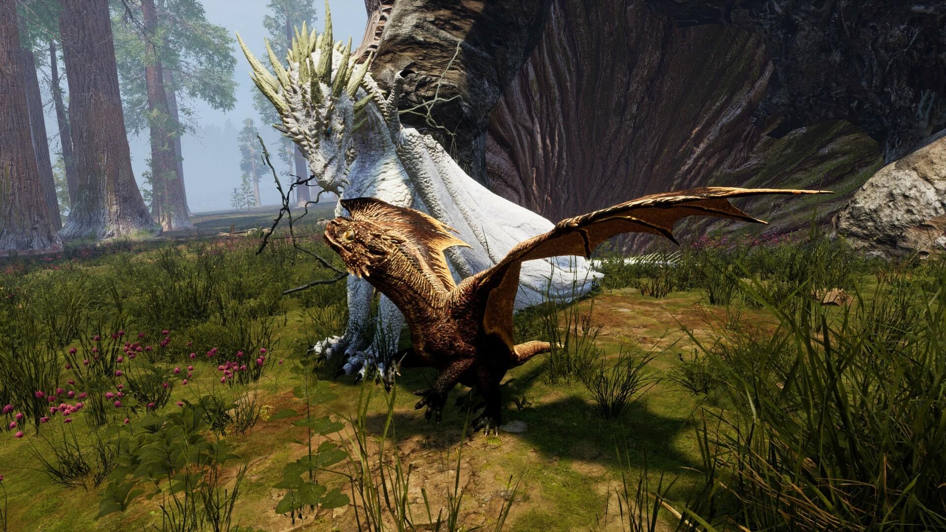 Screenshot of Dragons Legacy