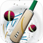 Biểu tượng của Bounce Bash - Hit Cricket Bat