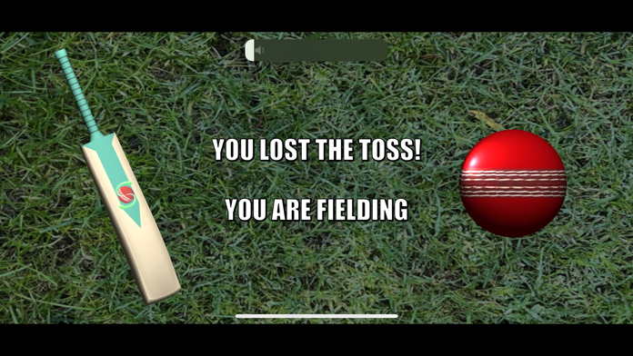 Spin Cricket android iOS apk download for free-TapTap