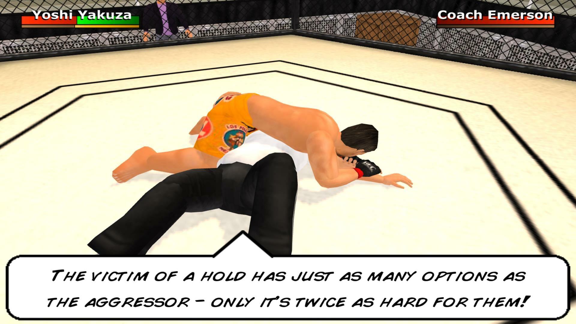 Screenshot of Weekend Warriors MMA