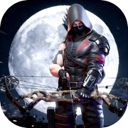 Ninja's Creed 2: Shadows