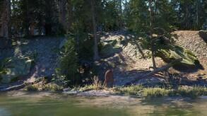 Screenshot of the video of Bigfoot Life